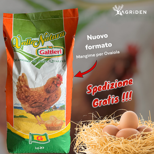 Mangime completo per galline - mangime,