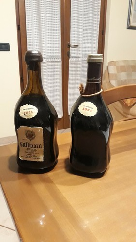 Bottiglie vino gattinara - vino,