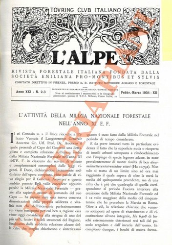 Attività della milizia - l'attività,