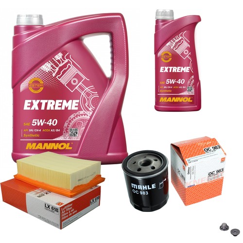 Pacchetto ispezione mahle - mahle, 6l