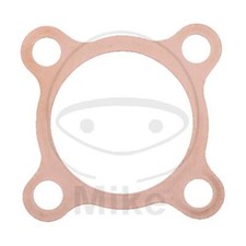 Guarnizione della testa del