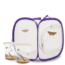 Acquista Bruchi: 🐛 Set
