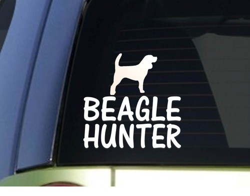 Adesivo beagle hunter - hunter, 6