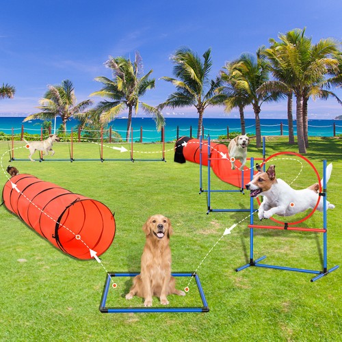Dog agility training kit - agility,