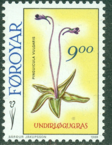 Faroe islands 1988 flower - ,