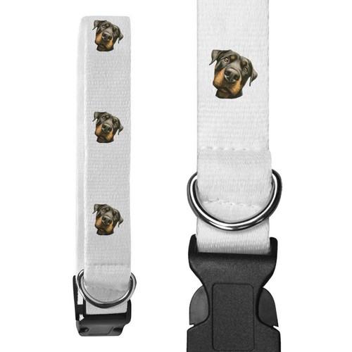 Collari per cani - , 'funny