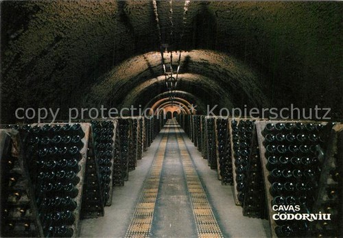 Vino cavas codorniu botellas - codorniu,