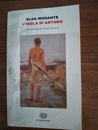 Isola arturo di elsa - l'isola,