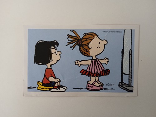 Figurina peanuts coop - figurina,