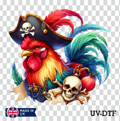 Adesivo gallo pirata - gallo, uv