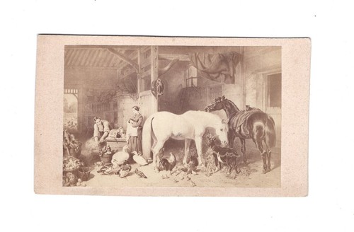 Foto cdv arte - cdv, scuderia