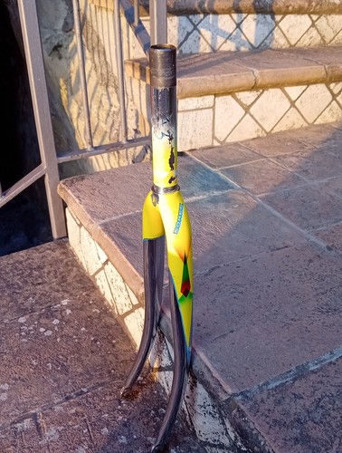 Somec forcella acciaio - in,