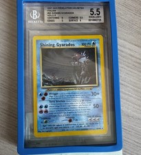 shining gyarados ita