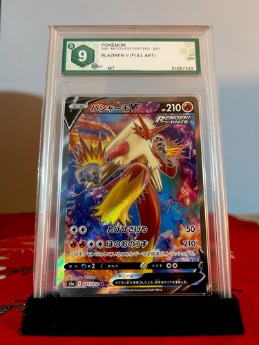 Pokemon graad blaziken - pokemon,
