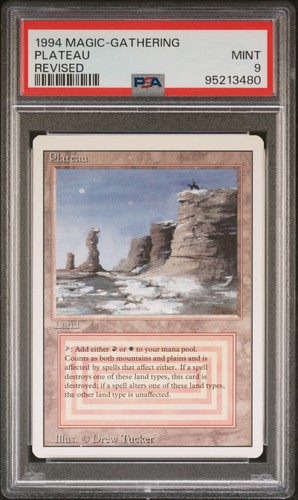 Mtg 1994 edizione revisionata - mtg,