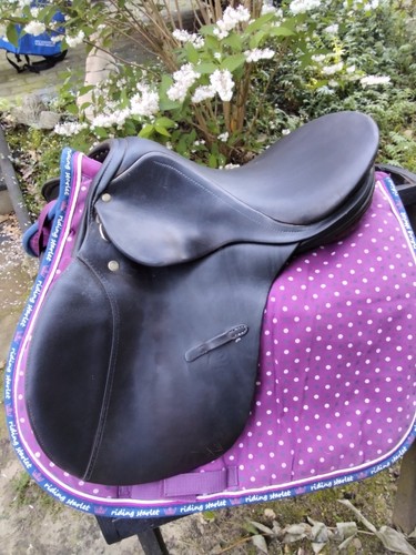 Sella pony stuebben rex - sella,