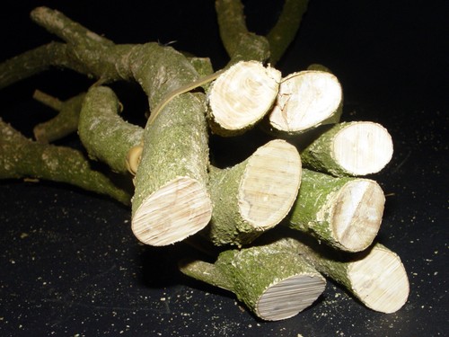 Fascio legno per - legno,
