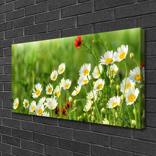 Stampa tela canvas 100x50 - stampa,