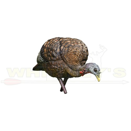 Avian alimentatore lcd - avian,