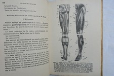 Macchina umana anatomia - la,