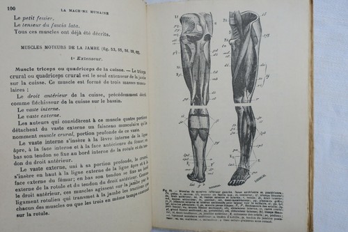 Macchina umana anatomia - la,