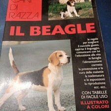 Il beagle cani da razza dei