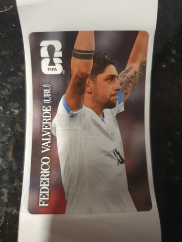 Panini fifa world cup - fifa,