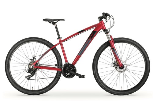 Bici mtb loop - 29,