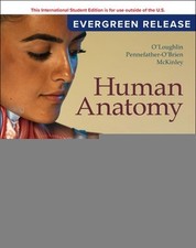 Human Anatomy: 2024 Release