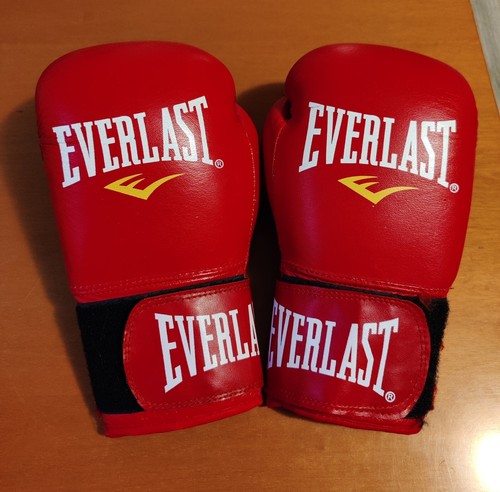 Everlast guantoni boxe - everlast,