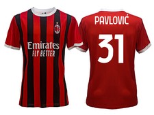 Pavlovic Milan 2025 2024