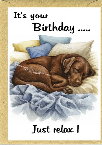 Biglietto compleanno labrador - biglietto,