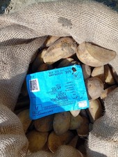 Patate semina - da,