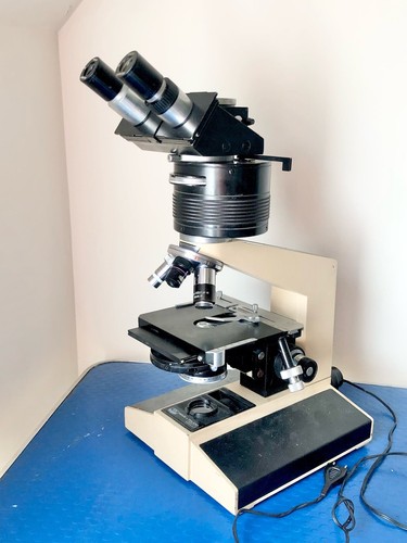 Pzo microscopio contrasto di - pzo,