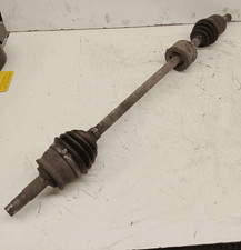 46308259 Semialbero ant