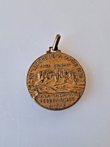 Medaglia militare 101 - medaglia, 101°