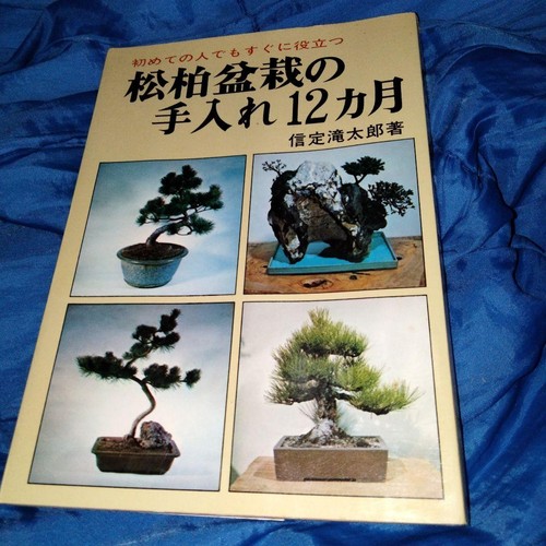 Mesi cura per bonsai di - cura,