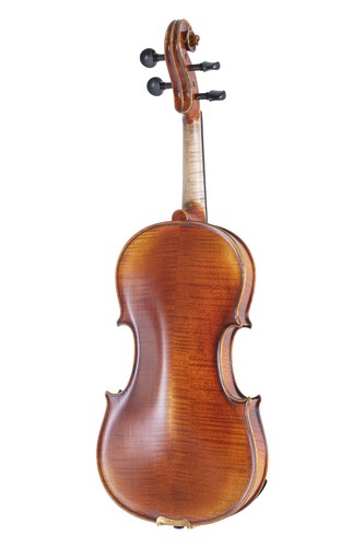 Violino maestro - violino,