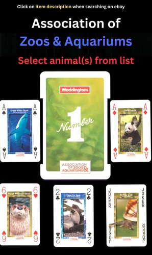 Association zoos aquarium - association, &