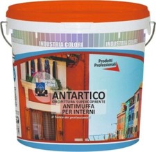 Pittura antimuffa per interni