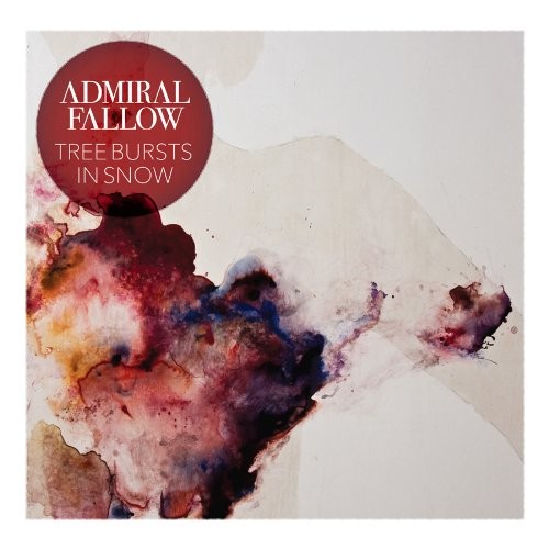 Admiral fallow tree bursts - fallow,