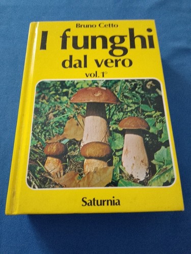 Bruno cetto funghi - bruno,