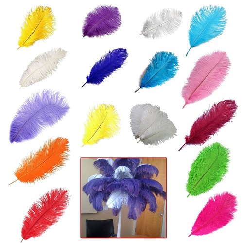 60cm grande piume struzzo - piume,