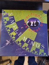 Lp Simple Minds Fighting years