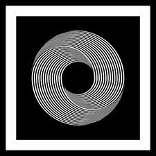 MARINA APOLLONIO -  SERIGRAFIA  cm. 50 X 50