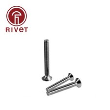 304 A2-70 DIN7046-1 testa vite