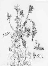 MELONI Gino, Fiori. Acquaforte