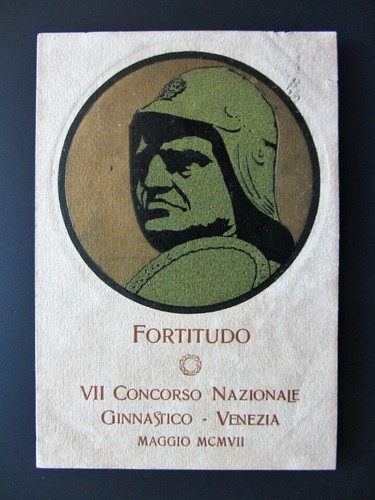 Cartolina viaggiata fortitudo - cartolina,