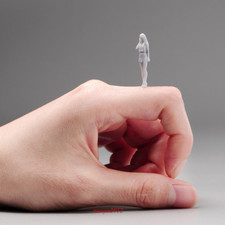 Gonna 1/64 Beauty Girl