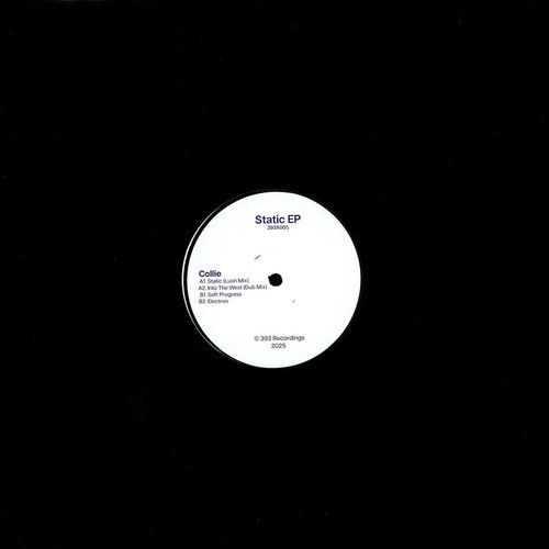 Collie static vinyl - static,